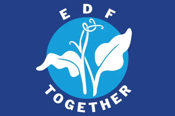 EDF Together