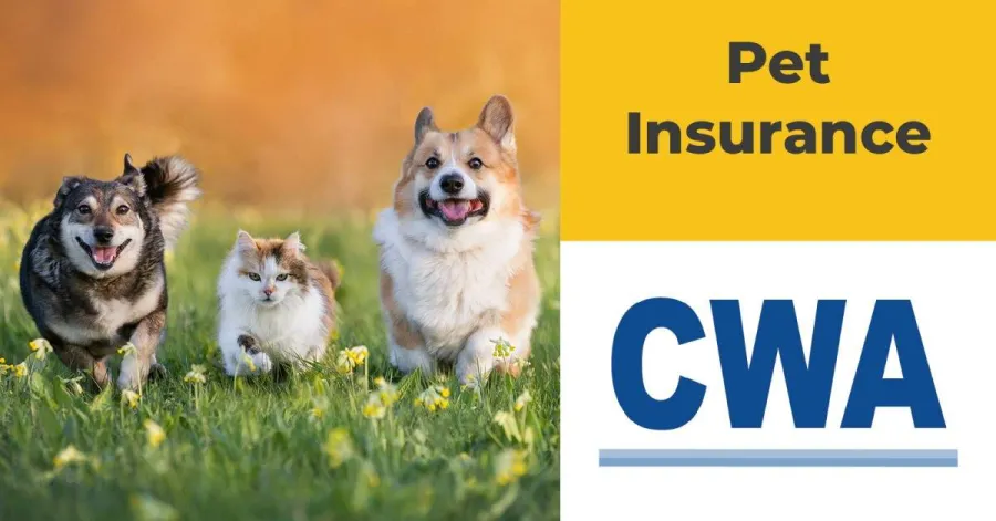 Union Plus Pet Insurance